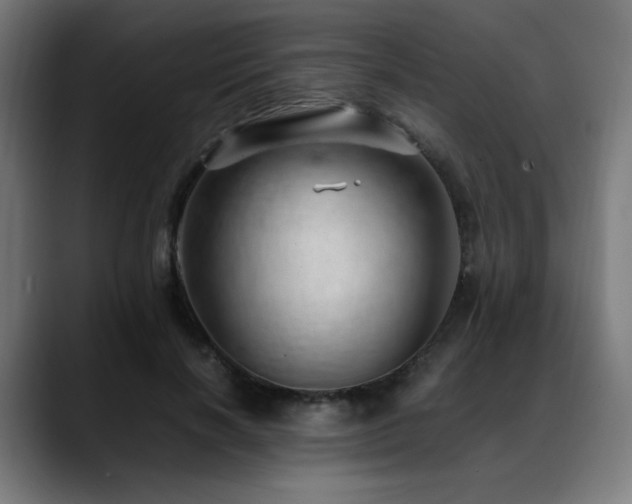 X0000088660646200705251523