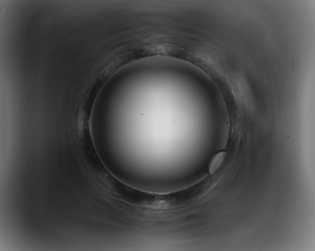 X0000088660647200705251523