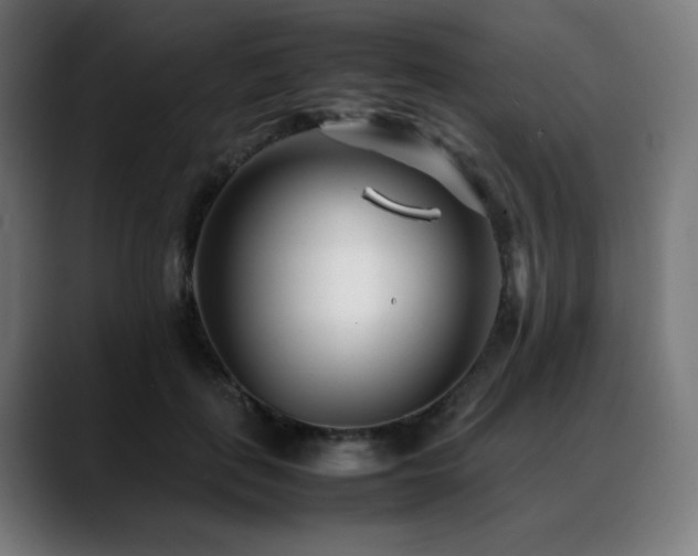 X0000088660651200705251523