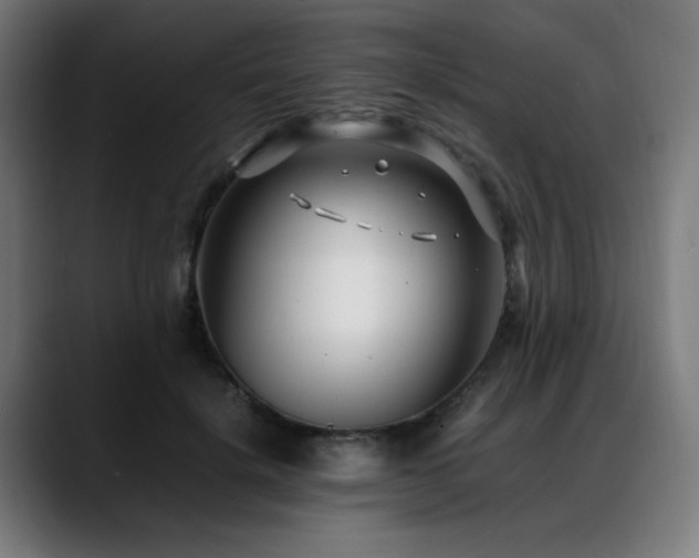 X0000088660652200705251523