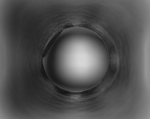 X0000088660653200705251523