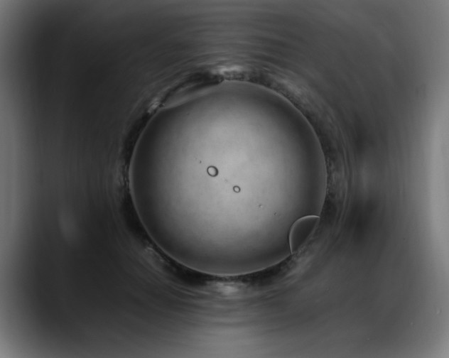 X0000088660654200705251523