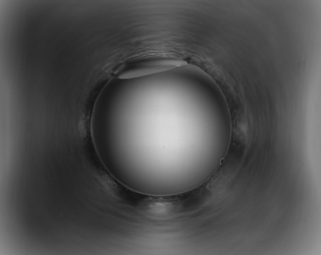 X0000088660658200705251523