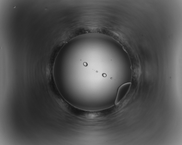 X0000088660662200705251523