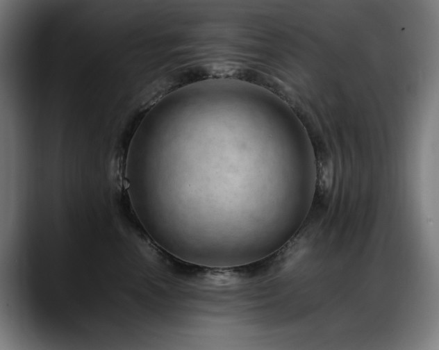 X0000088660666200705251523