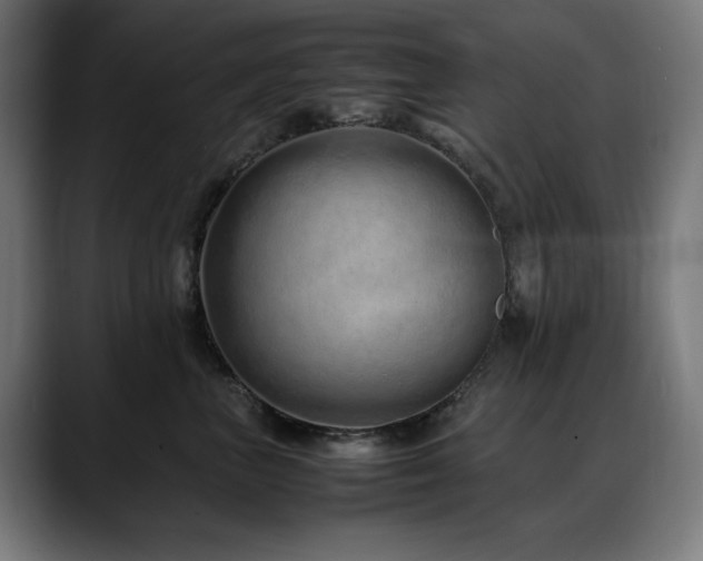 X0000088660667200705251523