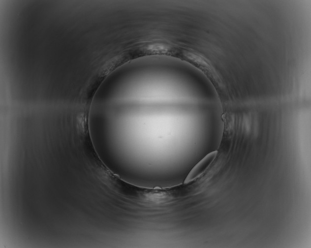 X0000088660669200705251523