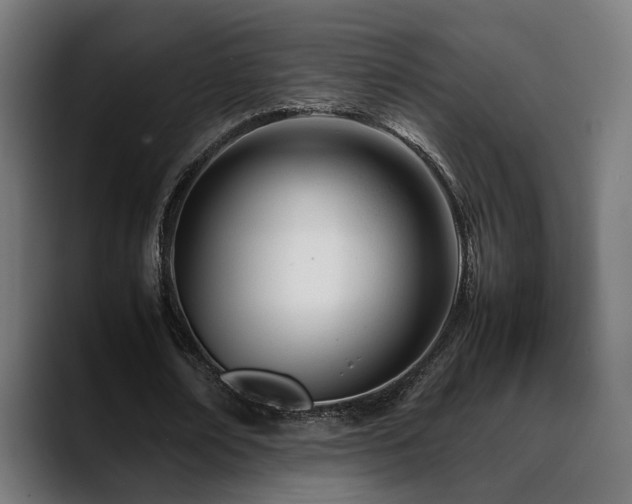 X0000088660674200705251523