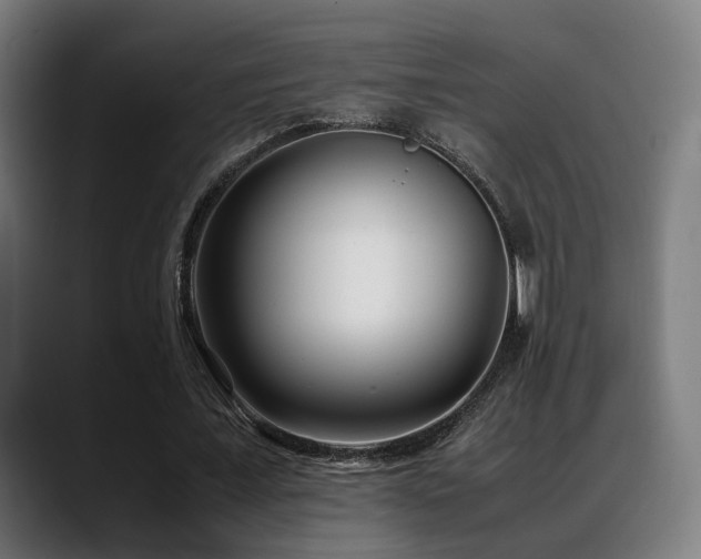 X0000088660675200705251523