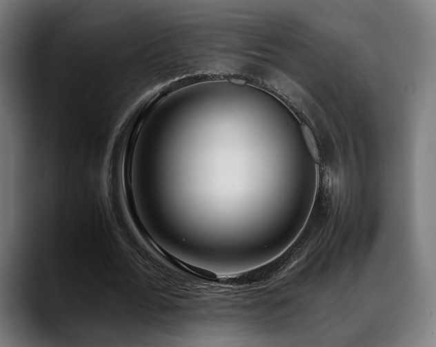 X0000088660676200705251523