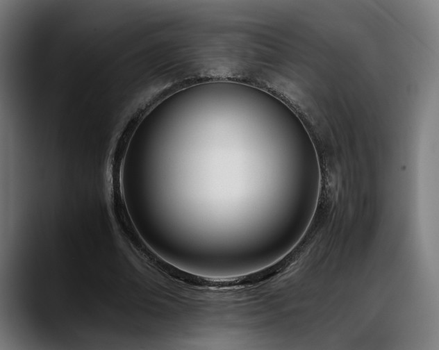 X0000088660678200705251523