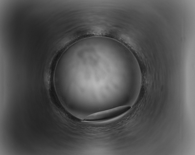 X0000088660679200705251523