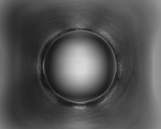 X0000088660680200705251523