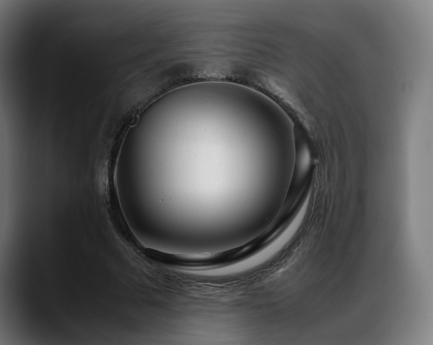 X0000088660681200705251523