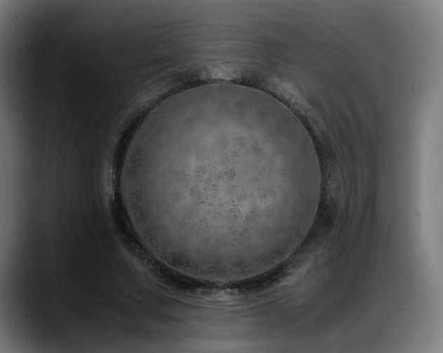 X0000088660683200705251523