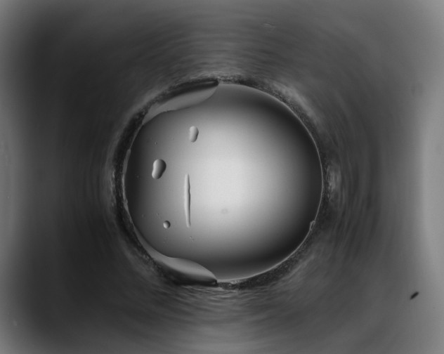 X0000088660684200705251523