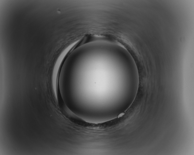 X0000088660689200705251522