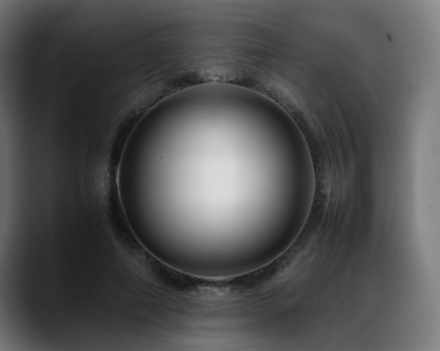 X0000088660690200705251522