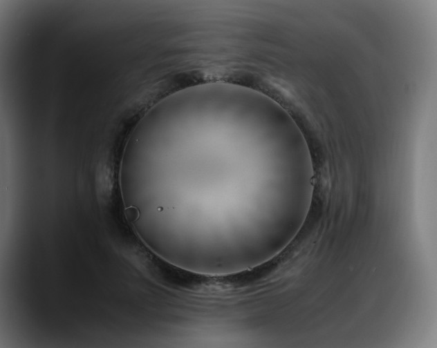 X0000088660691200705251522