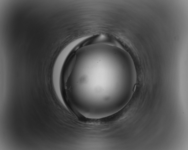 X0000088660693200705251522