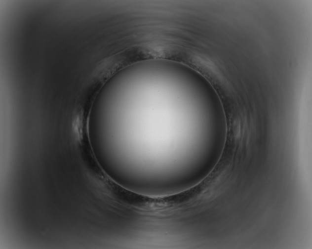 X0000088660694200705251522