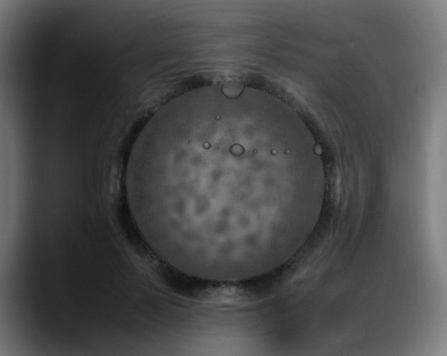 X0000088660695200705251522