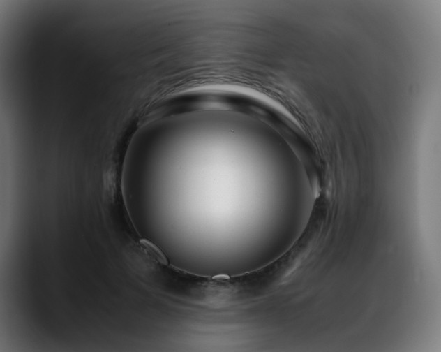 X0000088660697200705251522