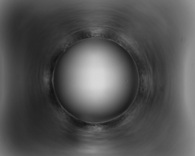 X0000088660698200705251522