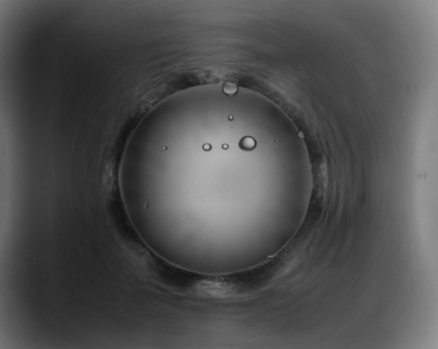 X0000088660699200705251522