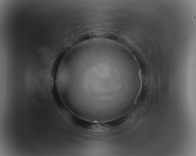 X0000088660703200705251522