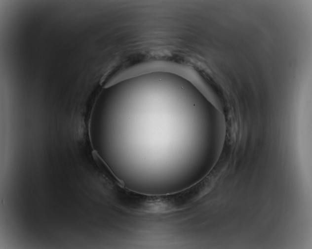 X0000088660704200705251522