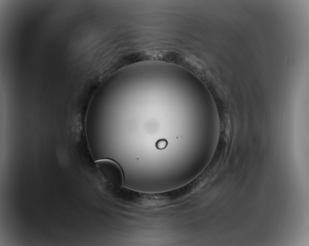 X0000088660707200705251522