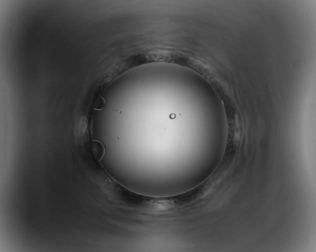 X0000088660711200705251522