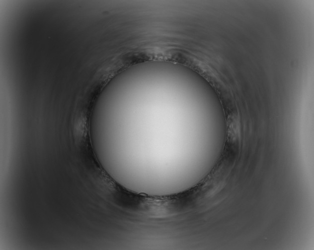 X0000088660713200705251522