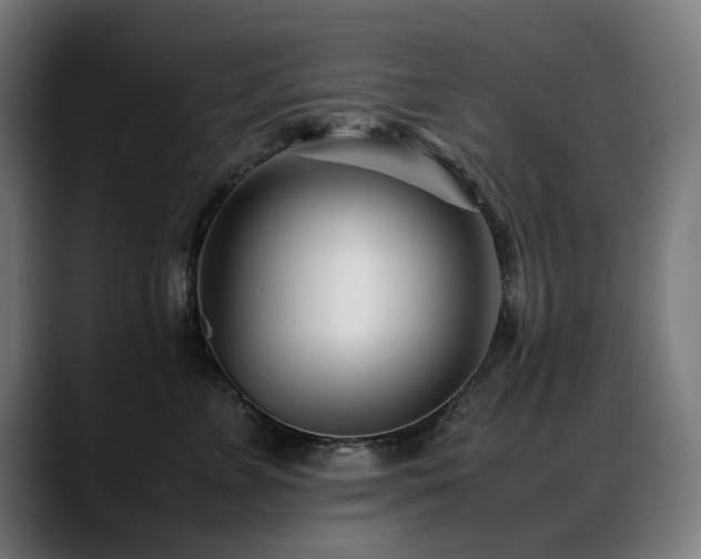 X0000088660715200705251522