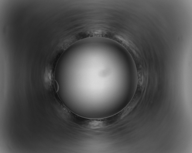 X0000088660718200705251522