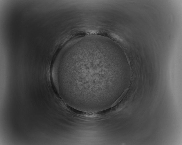 X0000088660720200705251522