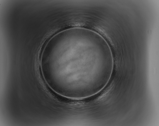 X0000088660721200705251521