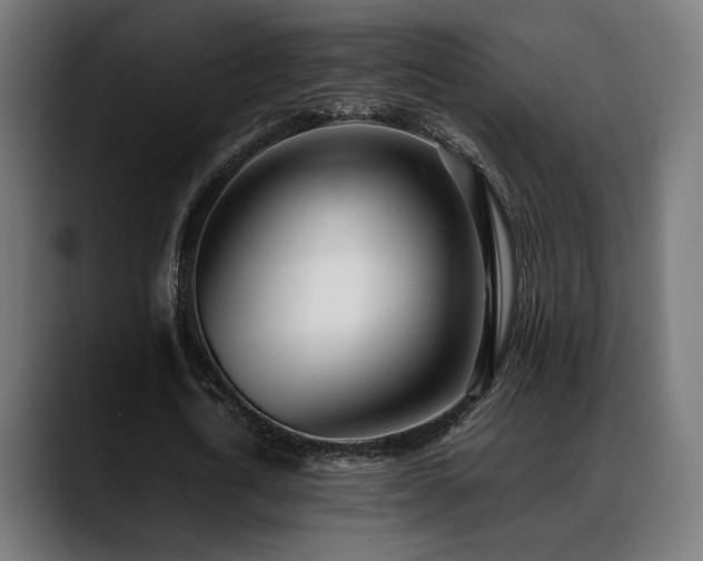 X0000088660722200705251521