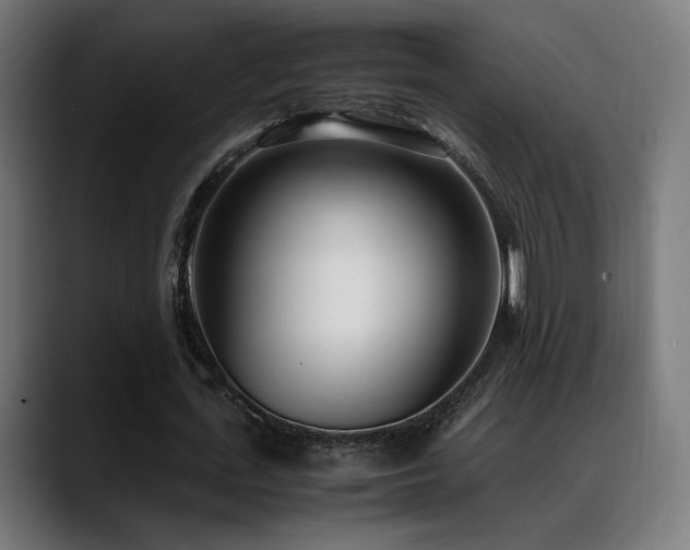 X0000088660723200705251521