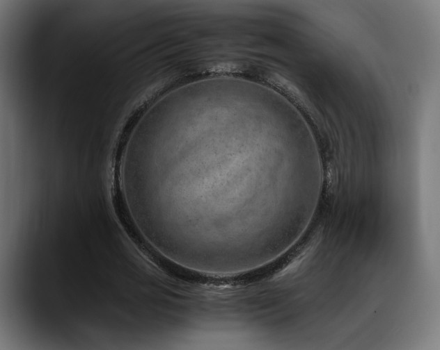 X0000088660725200705251522