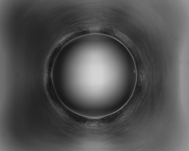 X0000088660728200705251522