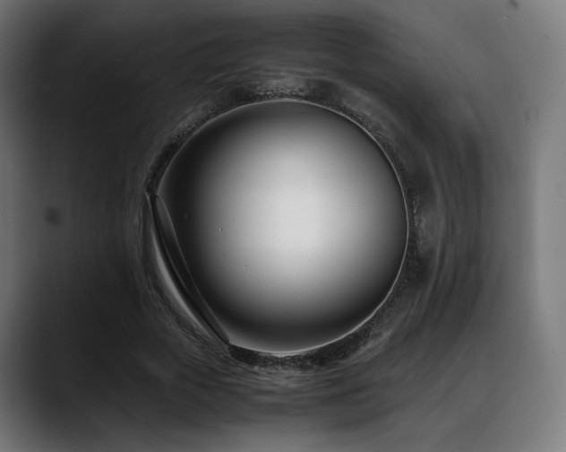 X0000088660729200705251522