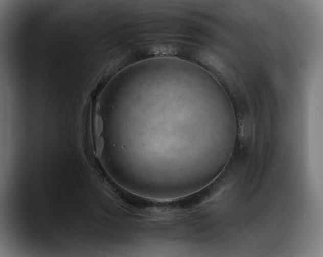 X0000088660733200705251522