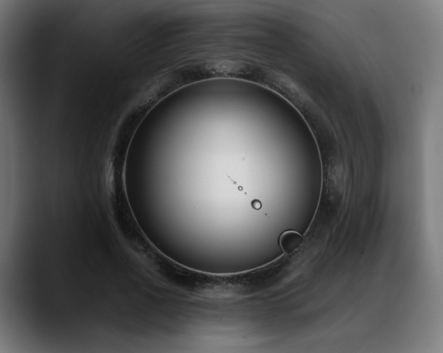 X0000088660734200705251522