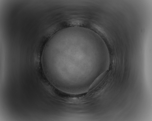 X0000088660737200705251522