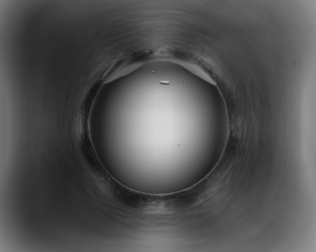 X0000088660740200705251522