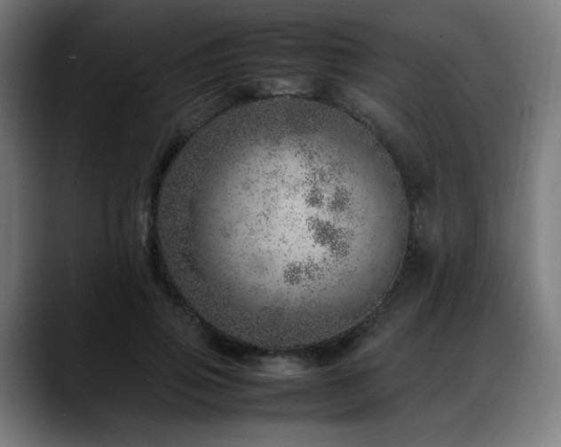 X0000088660741200705251522