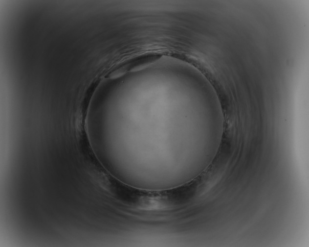 X0000088660745200705251522