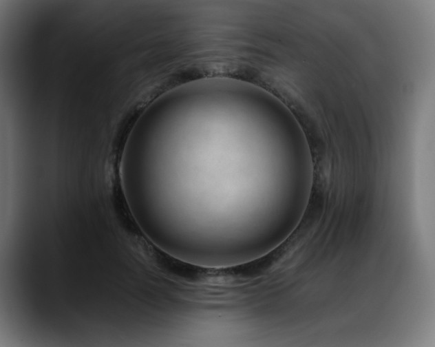 X0000088660746200705251522